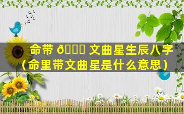 命带 💐 文曲星生辰八字（命里带文曲星是什么意思）